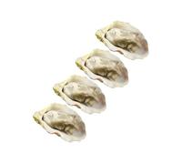 SOPOTUTU 4pcs Vivid Simulation Oyster Shellfish Models Lightweight Display Props for Restaurant Cabinet Photography Play Food Portable Seafood Decor
