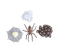 SOPOTUTU Animal Evolution Model Realistic Life Cycle Simulation for Educational Science Learning Natural Science Curiosity Development Tool