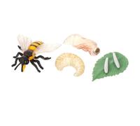 SOPOTUTU Educational Simulation Bee Growth Cycle Model for Learning Insect for Science Classrooms and Museums Life Cycle Display Ornament for Early Education