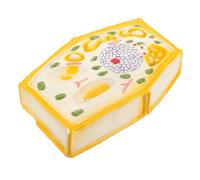 SOPOTUTU Enlarged Plant Cell Model for Biology Teaching Reusable Plastic Anatomical Kit for Middle School Students Educational Tool Enhancing Plant Cell Structure Understanding and