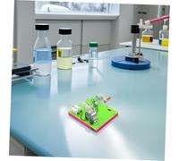 SOPOTUTU Hand Cranking Dynamo Science Experiment for Educational DIY Generator Model Stem Learning Kit for Primary School Students Safe