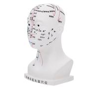 SOPOTUTU Medical Head Acupuncture Model with Acupoints Human Head Massage Model for Teaching and Facial Therapy Demonstration in Schools Hospitals and Laboratories