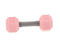 SOPOTUTU Mini Dumbbell for Safe Weightlifting Equipment Workout Weight Training for Beginners Pink Single Pack