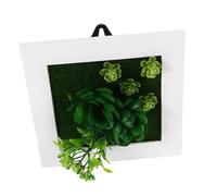 SOPOTUTU Wall Mounted Artificial Succulent Photo Frame No Maintenance Greenery Decor Space Saving Faux Plant Frame for Indoor Wall Hanging Chic Low Care Succulent Display