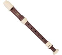 Soprano Recorder Baroque 8-hole High Pitch C, Detachable Flute For Beginners In Playing Teaching, Best Gift(B)