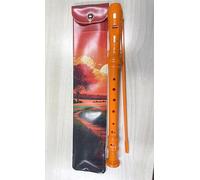 Soprano Recorder Instrument for Kids, German Fingering 8 Hole Beginner Music Recorder Flute with Cleaning Rod, Leather Packaging & Fingering Chart, Ideal for School Lessons & Home Practice (Orange)