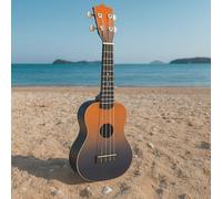 Soprano Ukulele for Beginner 21 Inch Matte Ukulele Beginner Kit with Bag (Orange)