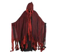 SOR Spectral Dress - Halloween Pouur Hood Cap | Ghost Coat for Costume | Vampire Cosplay and Adults for Daily Travel Addulters Home Meeting Carnival Holiday Festivals Masquerade