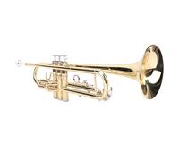 Sorandy Bb Brass Cornet Kit, Cornet Musical Instrument with Phosphor Copper Sound Tube and Shock Proof Canvas Case for Beginners and Advanced Students Performance Training