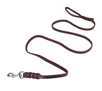Sorandy Dog Belt Lead Leash with Lobster Clasp for Control Walking, Great Present for Dog Lovers, Sturdy Material (The material length is 2.5 meters and the net)
