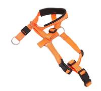 Sorandy Dog Head Harness Durable and Soft for Easy Breathing, Adjustable Strap Muzzle for Dogs During Outdoor Adventures, 1x Dog Muzzle (L)