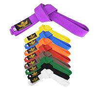 Sorano Sports | Karate Gi Belts | Premium Karate Belt|Soft Poly-cotton Premium Belts | Unmatched Quality And Consistency | Belt Size Ranges From 220cm - 320cm. (Purple, 260 cm)