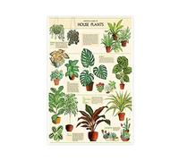 SORECI Growers Guide to Houseplants Canvas Poster Wall Art Decor Print Picture Paintings for Living Room Bedroom Decoration Unframe-style 16x24inch(40x60cm)