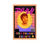 SORECI Rex Orange County Poster Canvas Poster Wall Art Decor Print Picture Paintings for Living Room Bedroom Decoration Unframe-style 20x30inch(50x75cm)