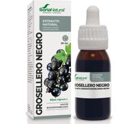 Soria Natural Blackcurrant Natural Extract 50 ml