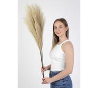 SOROLA Pampas Grass Large Artificial 4 Stems - 40 inch/100cm Fluffy Soft Faux Dried Tall Fake Plant Bouquet Decorative Flowers Arrangements Boho Home Decor Accessories Wedding Decorations (Beige)