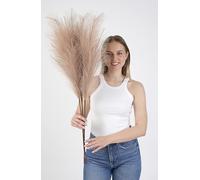 Sorola Pampas Grass Large Artificial 4 Stems - 40 inch/100cm Fluffy Soft Faux Dried Tall Fake Plant Bouquet Decorative Flowers Arrangements Boho Home Decor Accessories Wedding Decorations (Cream)