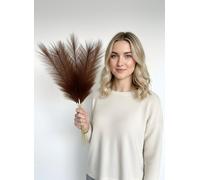 Sorola Pampas Grass MINI Artificial, Brown, 6 Stems, 20 inch/50cm