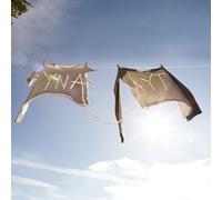 SORORITY NOISE - YNAAYT VINYL LP NEW