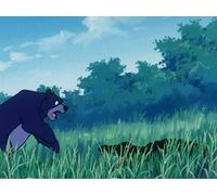 Sorry Baloo