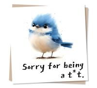 Sorry Card for Someone Special - Apologies - I Am Sorry - Funny and Lighthearted - for a Friend, Best Friend, Loved One, Partner, Relative, Colleague
