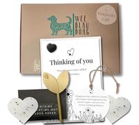 Sorry For Your Loss Pet Bereavement Gifts: 5-Piece Thinking of You Grief Gift with Pin, Seeded Hearts, Plaque & Pet Condolence Card | Gift-Ready Remembrance for Grieving Pet Owners