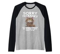 Sorry I Am Cranky I'm Going Through My Terrible Sixties Raglan Baseball Tee