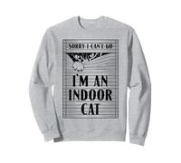 Sorry I Can’t Go I’m An Indoor Cat Lover Introvert Quote Sweatshirt