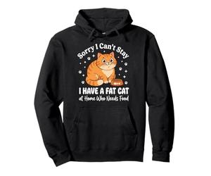 Sorry I Can't Stay I Have A Fat Cat At Home Who Needs Food Pullover Hoodie