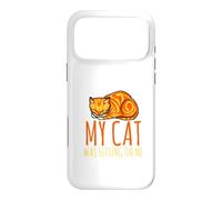 Sorry, I'm late, my cat sits on me Case for iPhone 17 Pro Max