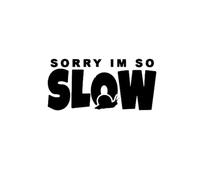 Sorry, I'm Too Slow. Snail Crawling Warning Original car Sticker JDM Rear Windshield Triangle Window Glass Sticker(Black,30x14.2cm)