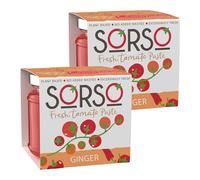 SORSO Ginger Tomato Paste 2x220g | Vegan, No Added Sugar, Gluten-Free | Natural Italian Recipe | Made in London | Use for Pizza, Pasta, Ketchup, Dip or Soup | 98% Vine Tomatoes