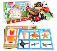 Sorting Toys for Toddlers - 54Pcs Learning Education Sorting Games, Animals Dinosaurs Insects Fruits Foods Vehicles Balls Farm Playset, Fine Motor Montessori Preschool Gift for 2+ Year Old Kids