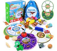 Sorting Toys for Toddlers with Storage Bag, Multiple Theme Fine Motor Skills Games, Match Card & Sort Game Set, Preschool Learning Activities Sensory Toys Playset Matching Games for Boys and Girls