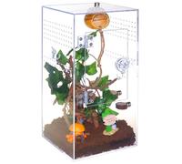 SORWATEE Spider Terrarium Kit, Jumping Spider Enclosure with Hideout, Rope Bridge, Ledge Ladder, Micro Habitat Terrarium for Small Tree Dwelling Reptiles, Arboreal Tarantula Enclosure (6x6x12 Inches)