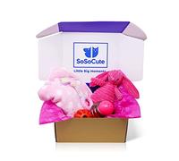 SoSoCute Pink Dog Gift Box - Puppy Chew Toy Set of 5 - Puppy Care Package with Dog Blanket, Squeaky Plush, Rubber Puppy Teether, Teething Ball, and Treat Ball for Small and Medium Dogs
