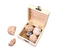 Sosoport 1 Box Gem Mining Kit with Four Natural Crystal Specimens Educational Geology Dig Kit for Adults Safe Materials Use Hammer Excavation Gemstone Collection
