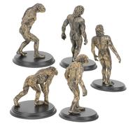 Sosoport 1Set Educational Human Evolution Model for Science Experiments Scene Props Realistic Teaching for Home and Classroom