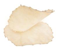 Sosoport 2pcs 30cm Goatskin Drum Covers Replacement for African Djembe and Shaman Drums Natural Leather Heads Suitable for Hand and Conga Percussion