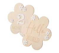 Sosoport 2pcs Flower Photo Prop Wood Flowers Name Announcement Sign for Monthly Growth Record Board Welcome World Newborn Sign