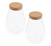 Sosoport 2pcs Landscape Bottle Diy Moss Plant Diy Water Drop Siamese Fighting Fish Bottle Hydroponic Plant Glass Decorative Home Plant St