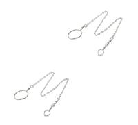 Sosoport 2pcs Pet Bird Training Chain Stainless Steel Parrot Foot Leash for Outdoor Use Bird Flying Suitable for Parrots