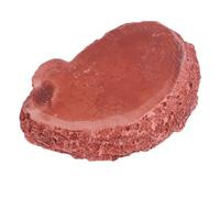 Sosoport 2pcs Resin Reptile Feeder Bowl Imitation Bark Design Dark Red Pet Supply for Lizards Tortoises and Spiders Safe and Eating Dish for Creatures