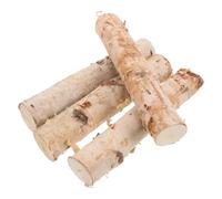 Sosoport 4pcs Natural Birch Log Rustic Wooden Rods Dry and Thin Branches Timeless Elegance for DIY Projects and Floral Arrangements