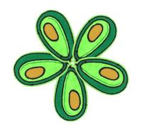 Sosoport 5pcs Embroidered Appliqué Patches Green Cartoon Avocado Design Polyester Thread Fabric Iron on Sewing Accessories for DIY Pants Concealing Flaws Easy Application