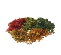Sosoport 5pcs Realistic Miniature Plants Leaves for DIY Diorama and Sand Table Scenery with Resin Material, Vibrant Autumn Fall Simulation Design, 36ml Capacity, Easy Maintenance for Model