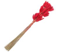 Sosoport 60pcs Dried Bunny Tail Grass Flowers Natural Red Dried Flower Bouquet for Wedding Decor and DIY Living Room Decoration, Easy to Store and Fade-resistant Seasons