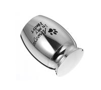 Sosoport 6pcs Pet Cinerary Holder Simple Silver Casket for Ashes Compact and Lightweight Urn for Pet Memorial Smooth Design for and Bereavement
