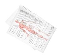 Sosoport Human Anatomy Skeletal Muscle Poster Educational Muscle Figure Teaching Chart Print Science Poster for Medical Study and Office Decoration