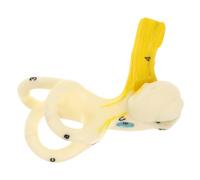 Sosoport Human Ear Anatomy Model Realistic Structure for Teaching Aid Hospitals and Universities Enlarged Inner Ear Representation for Educational Use Detailed Anatomy Display for Clinics
